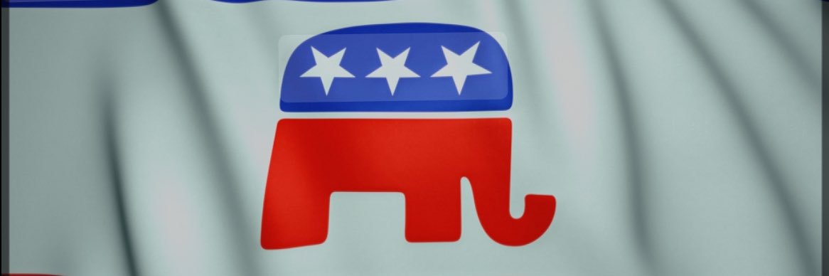 Mike McMahon IV banner