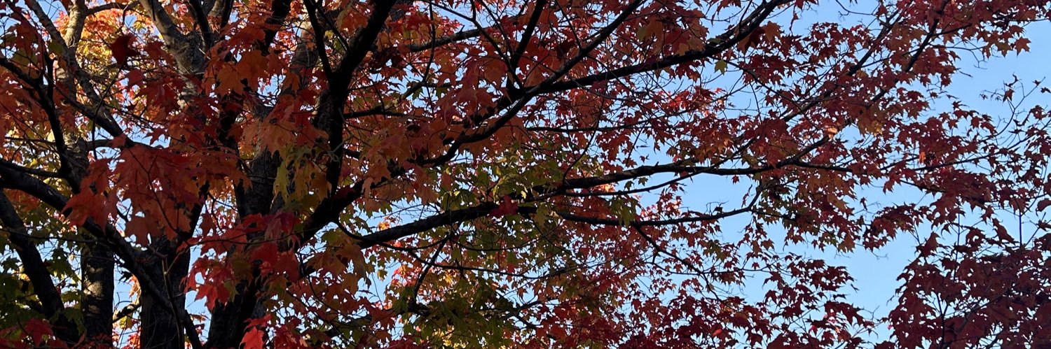 Desirae Escalera banner