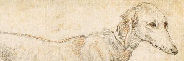 dxv515💥💥💥 banner