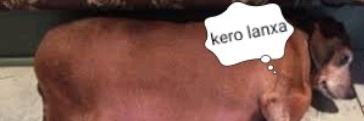 beni 🪽🎧 banner