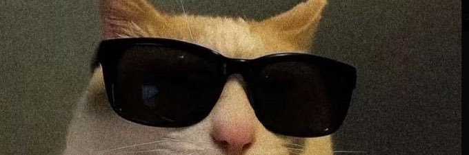 httpstonxl's profile banner image