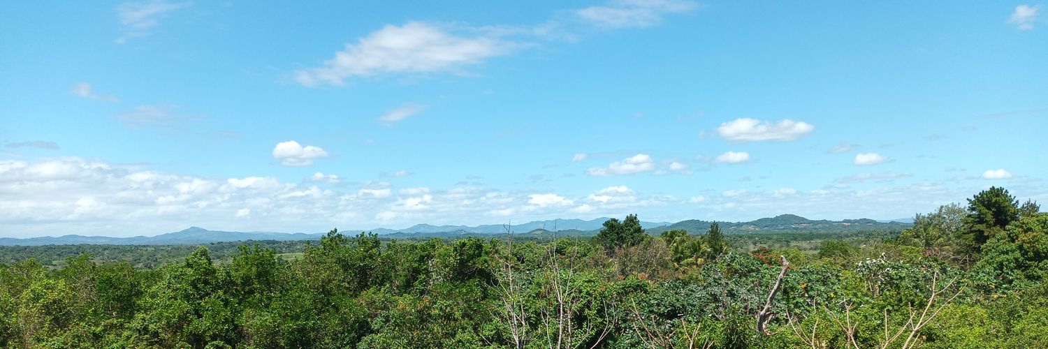 Trujillito banner