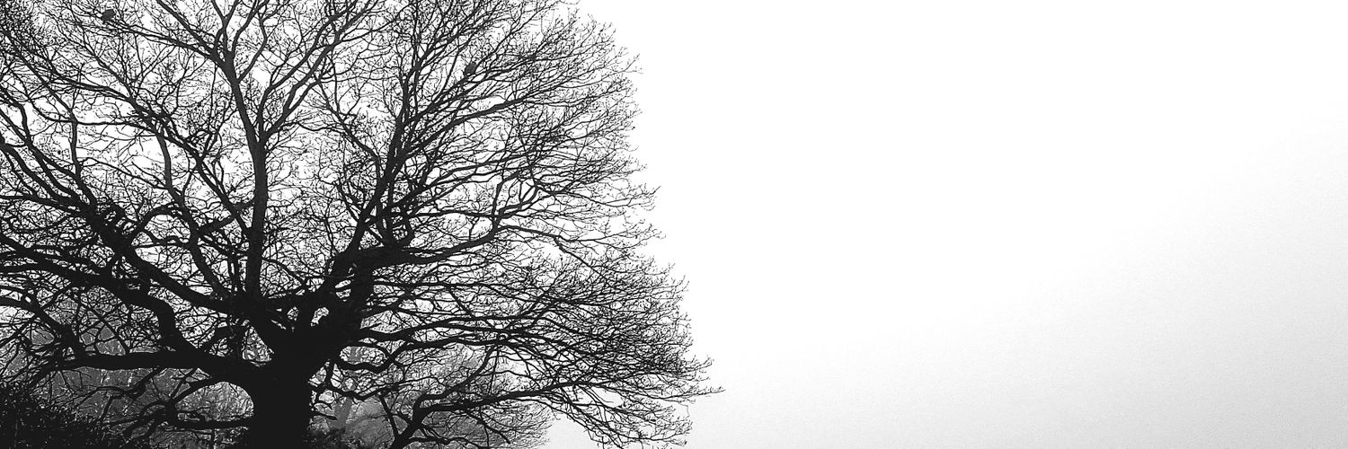 MrRPhilip's profile banner image