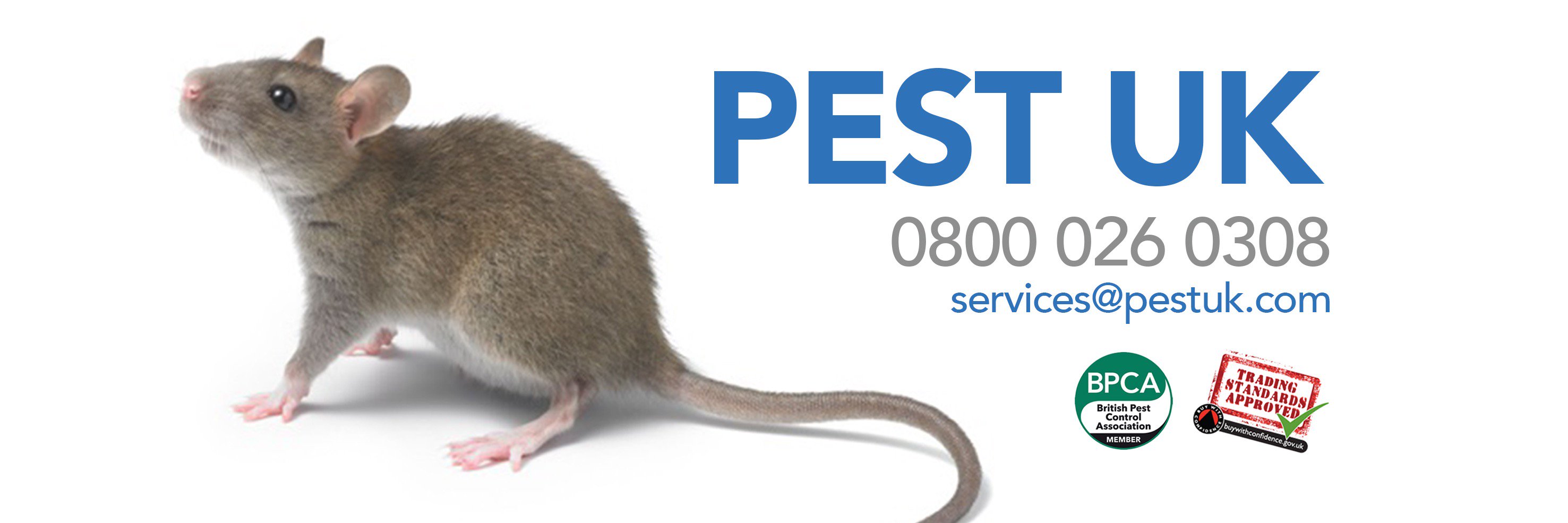 pestuk's profile banner image