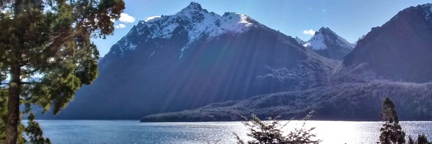 Comandantealeja's profile banner image