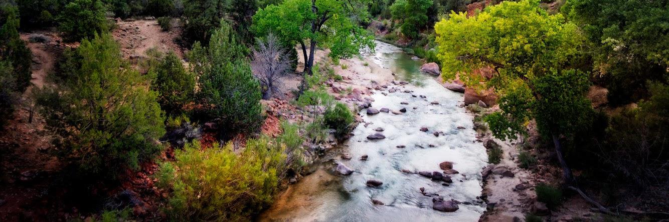 Mouhannad Al-Sayegh banner