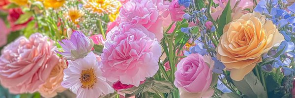 _bloomwhirl Profile Banner