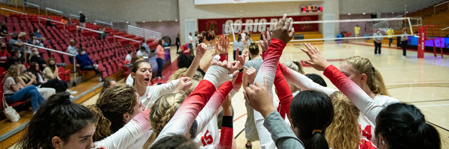 Cornell Volleyball banner