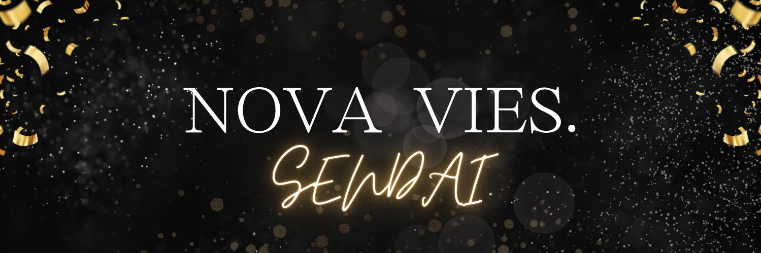 nvvs20247's profile banner image