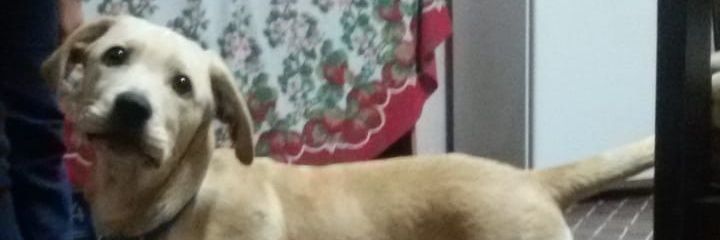 solanacr's profile banner image