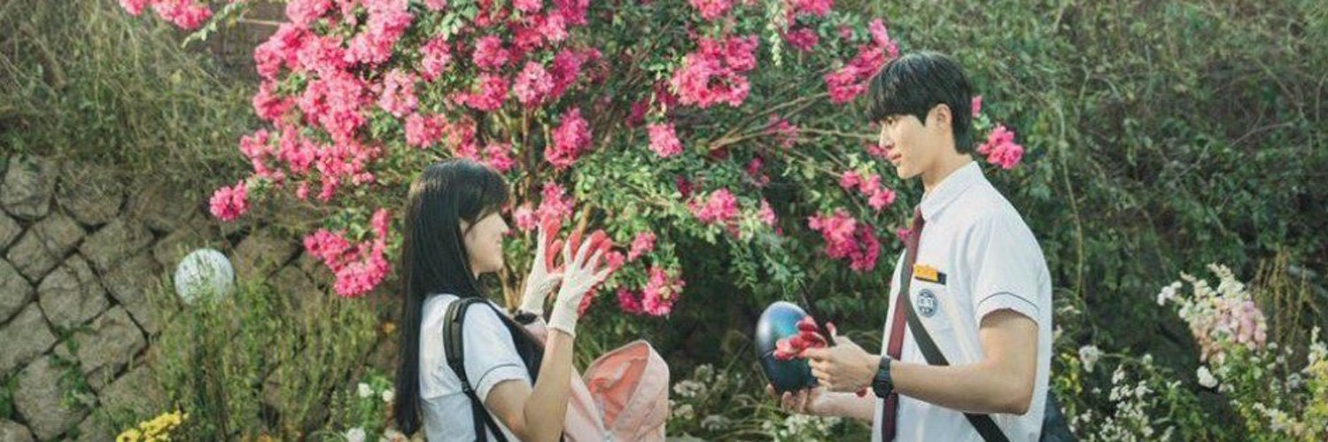 tianyuloops's profile banner image