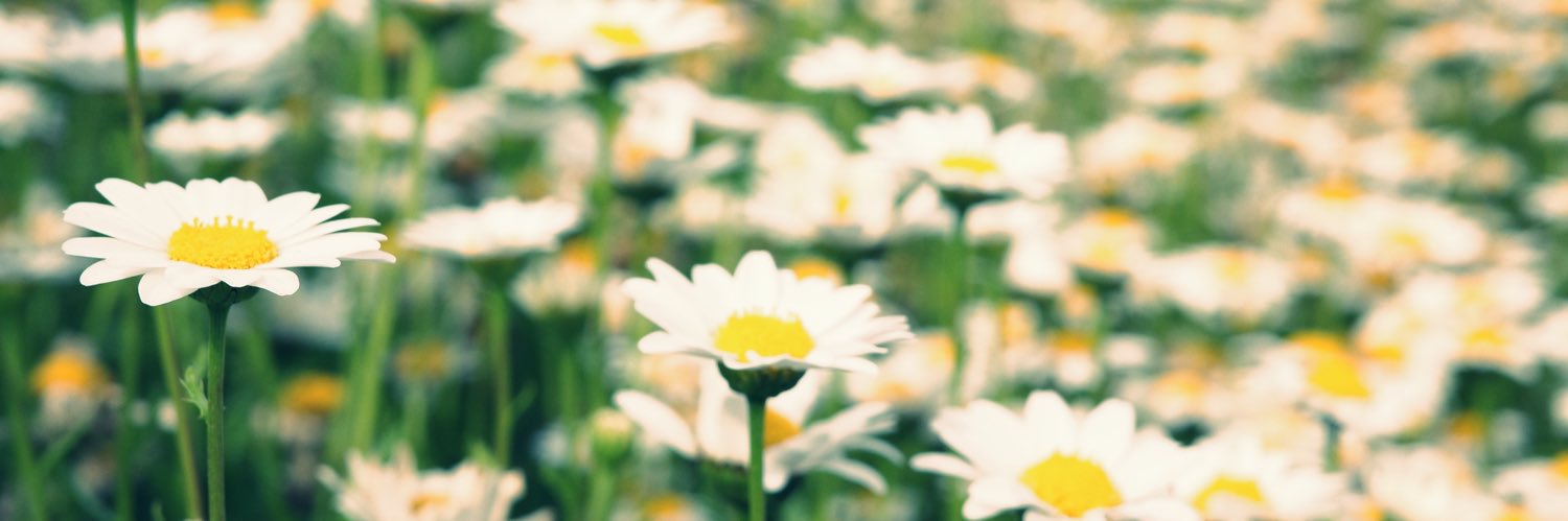 天晴⭐️40から始めるカメラ生活's banner