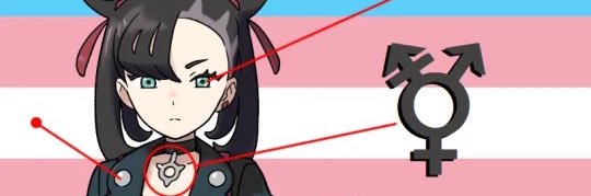 puppy banner