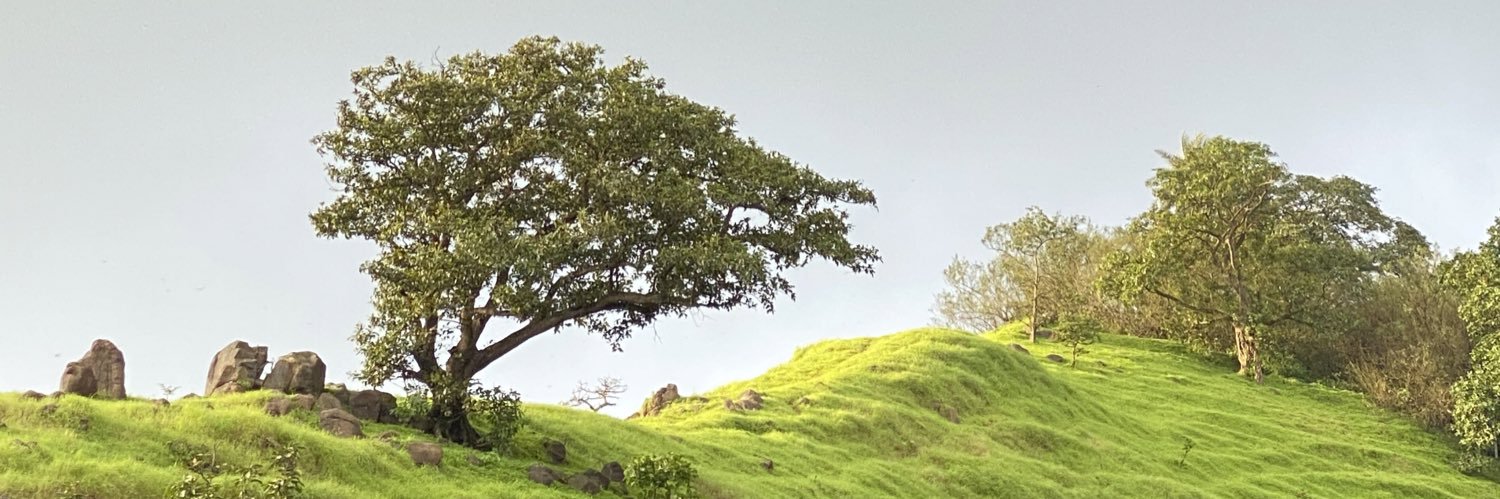 Sominder's profile banner image