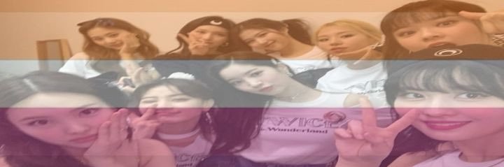 sophia ₍^. .^₎⟆ banner