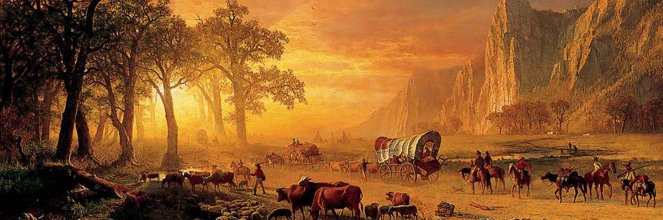 ✭ C- Builds ✭ banner