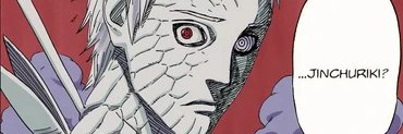 17th banner
