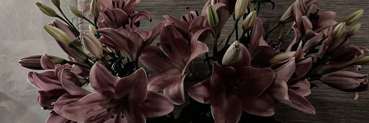 Caramiakv's profile banner image