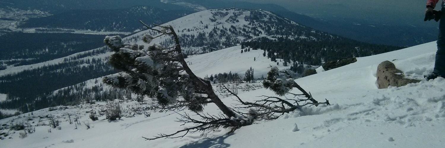 Нереальный аспект кандибобера banner