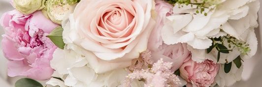 Amy_Quilter's profile banner image