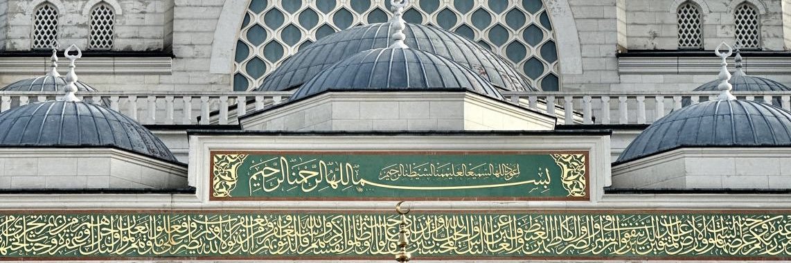 Fatmazehraergn's profile banner image