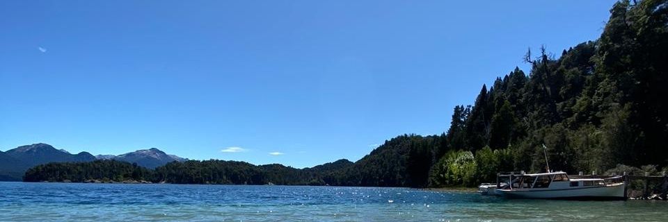 angelrivelli's profile banner image