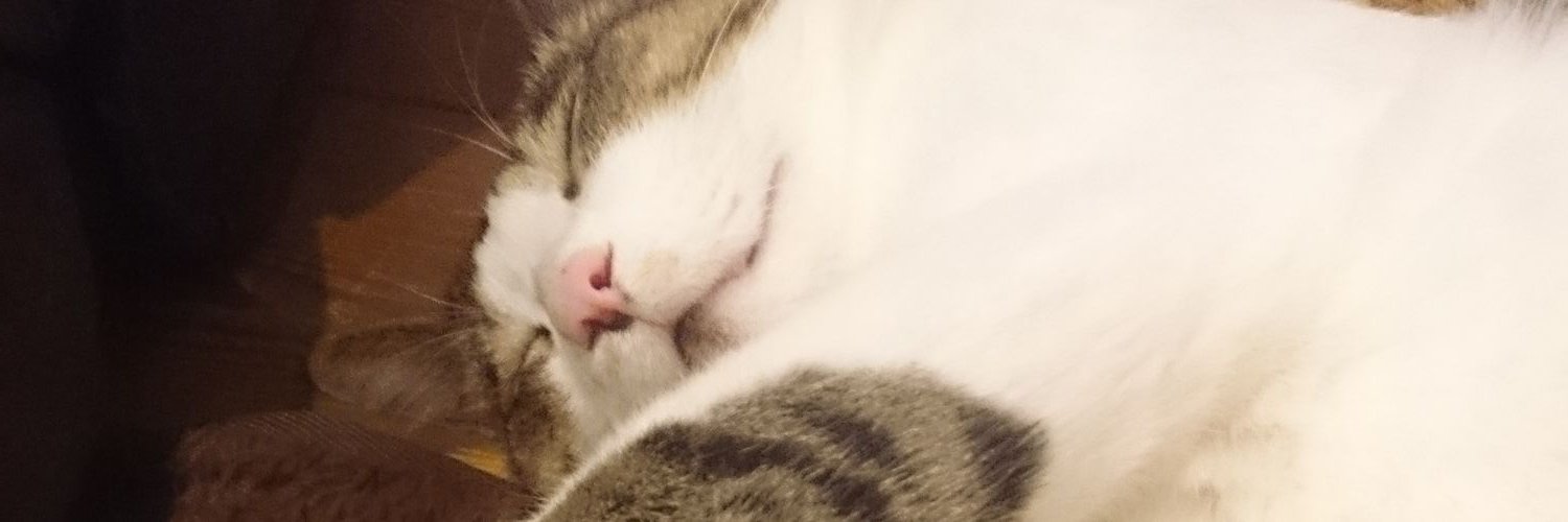 takemochi78's profile banner image