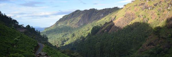 _rohanverma Profile Banner