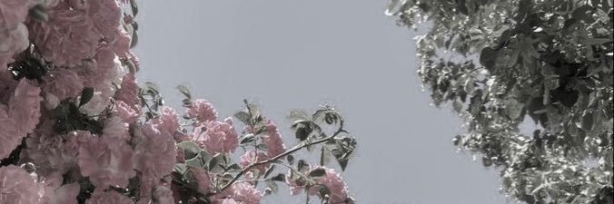 𝘮𝘪𝘴𝘶𝘻𝘶 banner