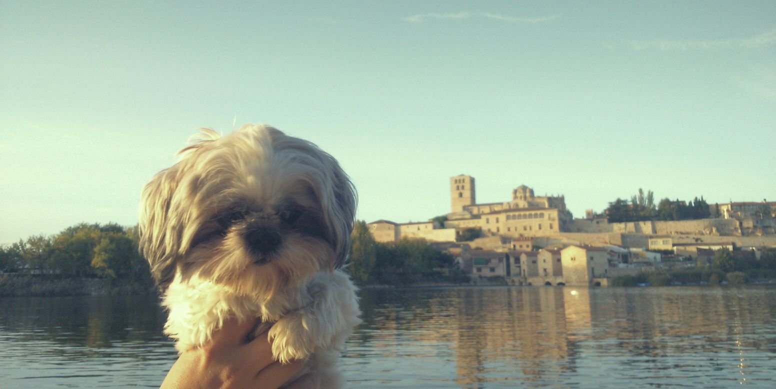 Lydia_tururu's profile banner image
