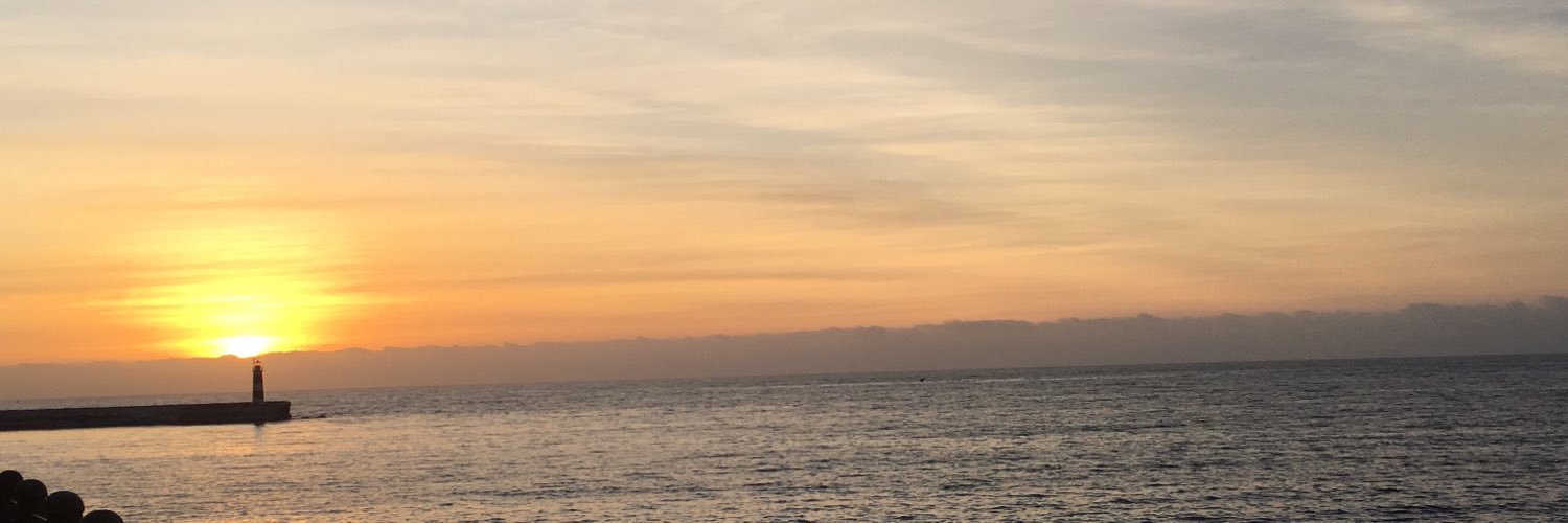 erikamarchela's profile banner image