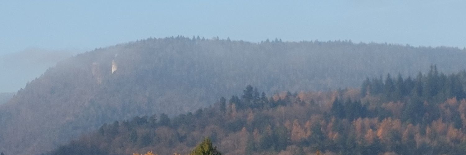 gayswissbb's profile banner image