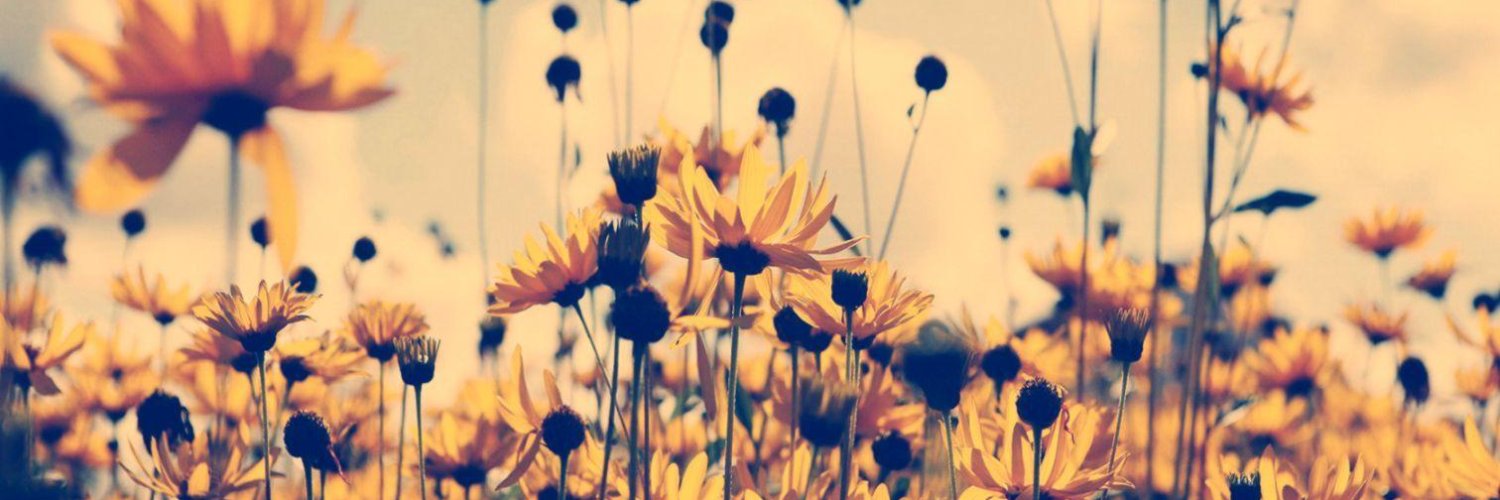 cazginates's profile banner image