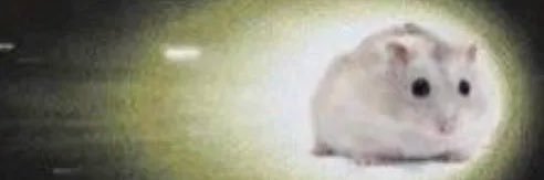 。。。's banner