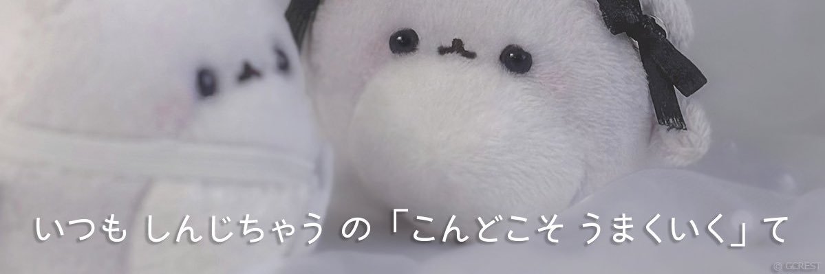 s banner