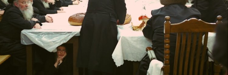 David/Dovid Bashevkin's banner