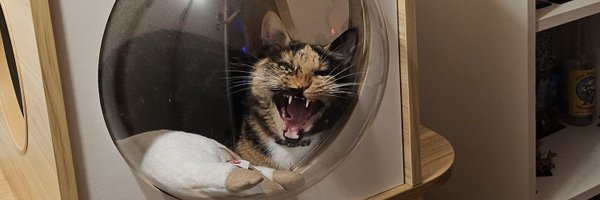 CLAZIK0 Profile Banner