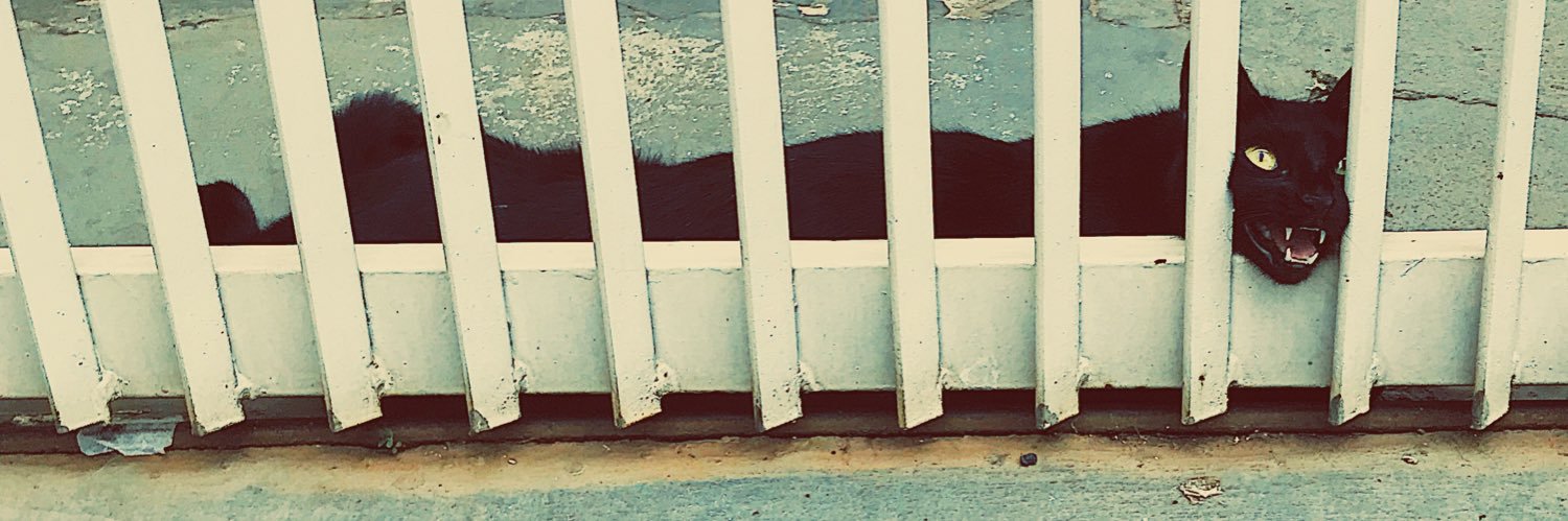 assadz0r's profile banner image