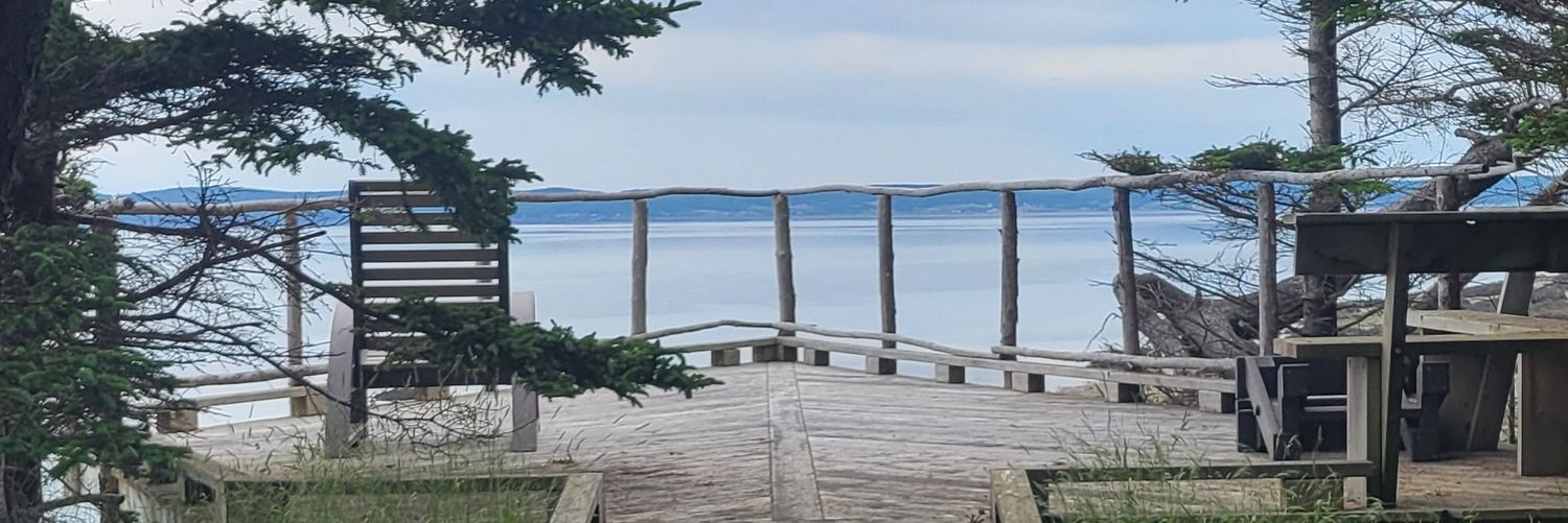 Ready For War banner