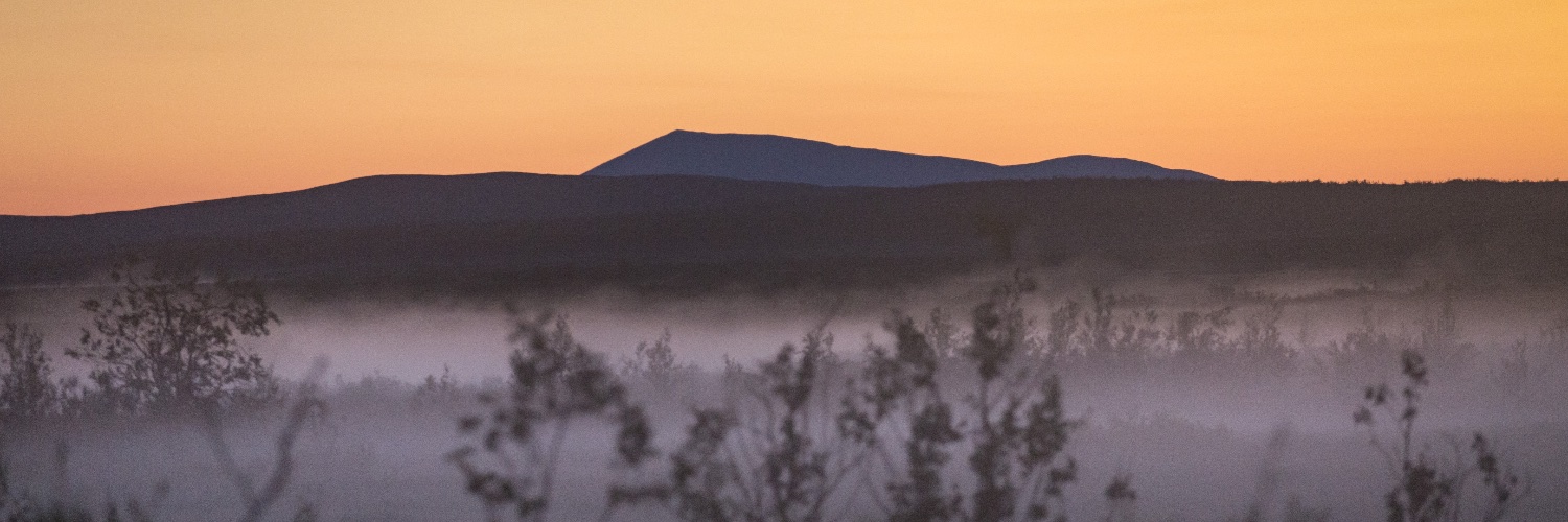 Kristoffer Törnmalm banner
