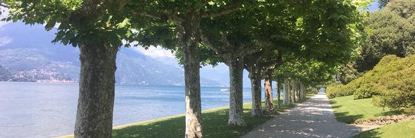 everettpotter Profile Banner