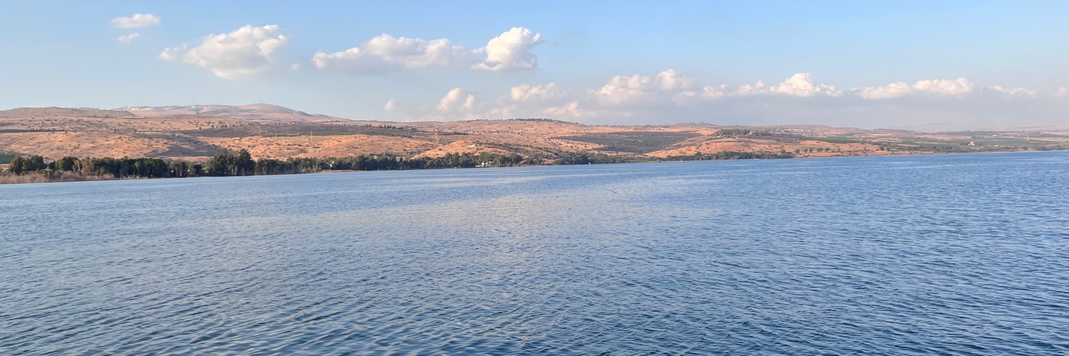 Maria Paola Sevilla banner