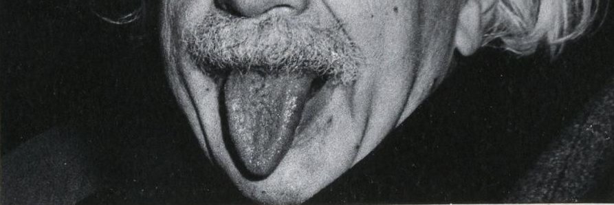 Herr Adhemar von Zwammenstein XII banner