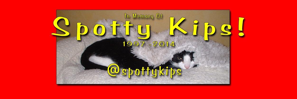 Spotty Kips banner