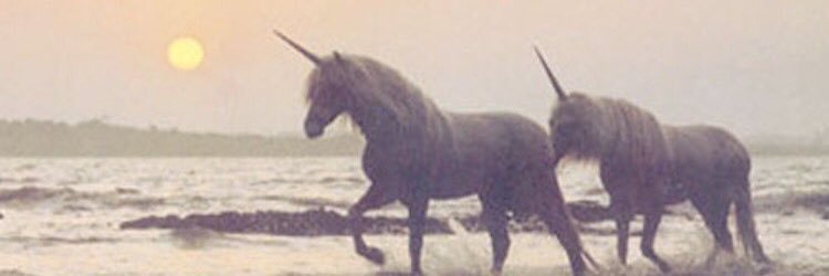 vanemauro's profile banner image