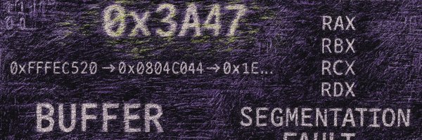 0x4161 Profile Banner