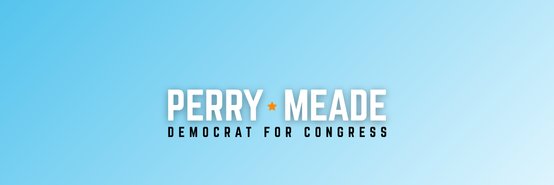 Perry Meade for Congress's banner