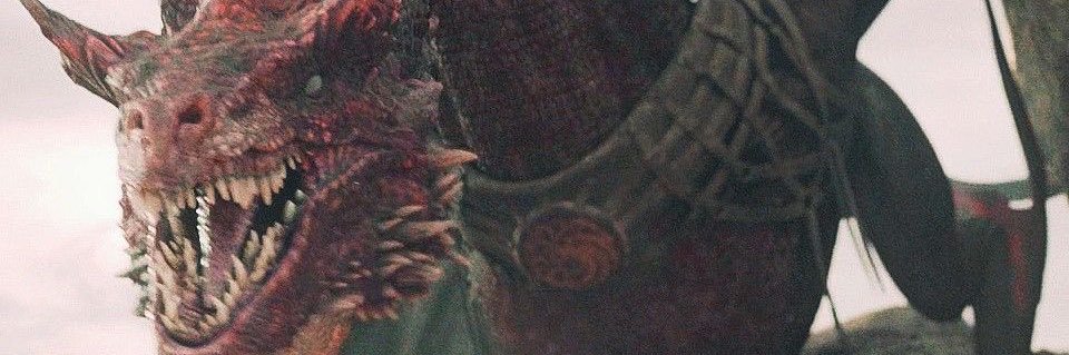 𝐂𝐚𝐫𝐚𝐱𝐞𝐬♛ banner