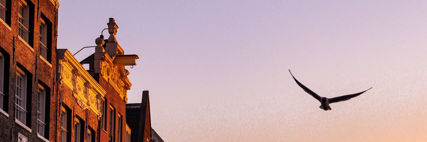 Spooky Ali ⚯͛ banner