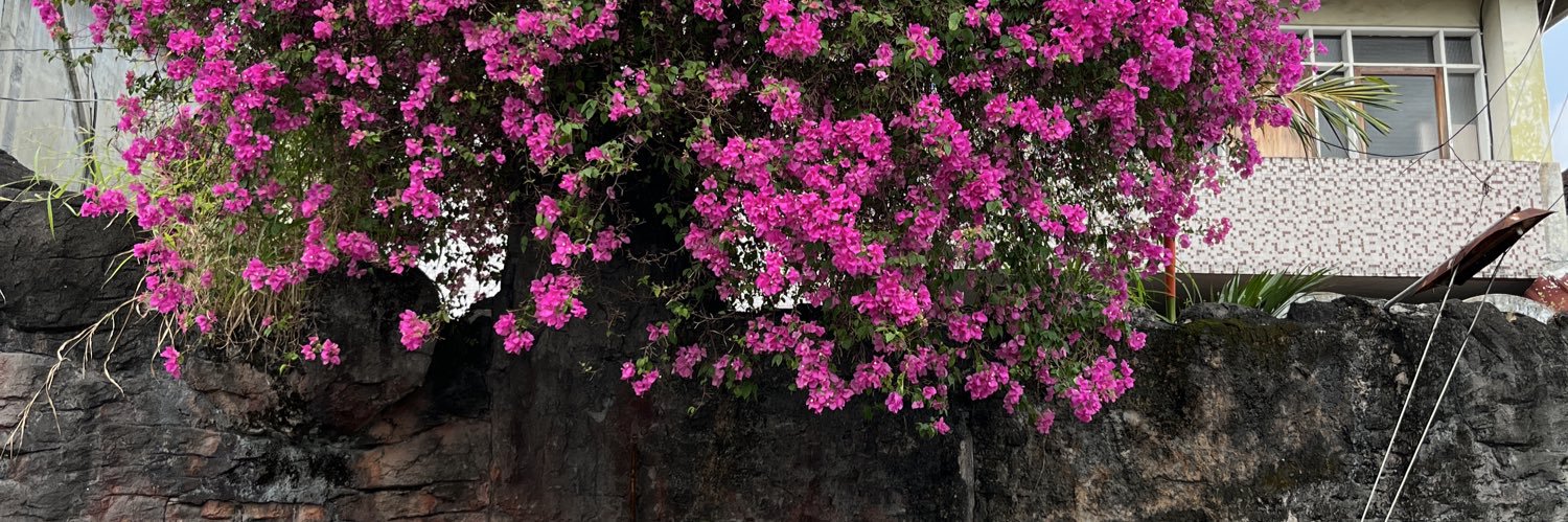 winda²⁵ ☕️ banner